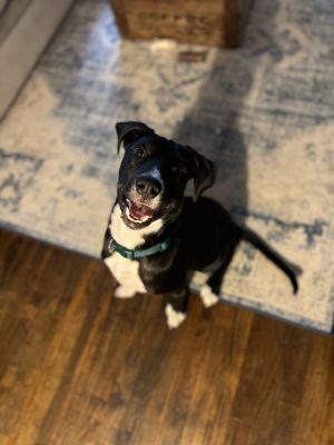 Photo of Titus