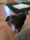Betty photo 1