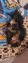 Betty photo 3