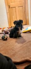 Betty photo 4