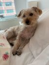 Doug photo 1