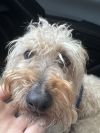 Doug photo 4