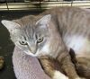 Meredith photo 2