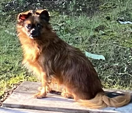 General "Zip:" Not At shelter (Judy)