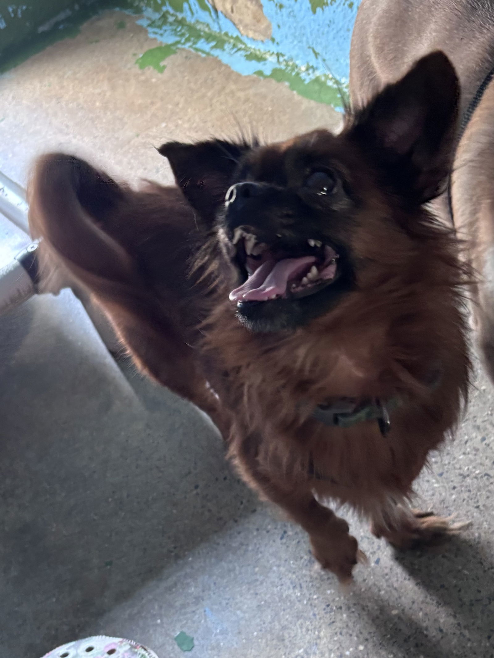 General: Not At shelter