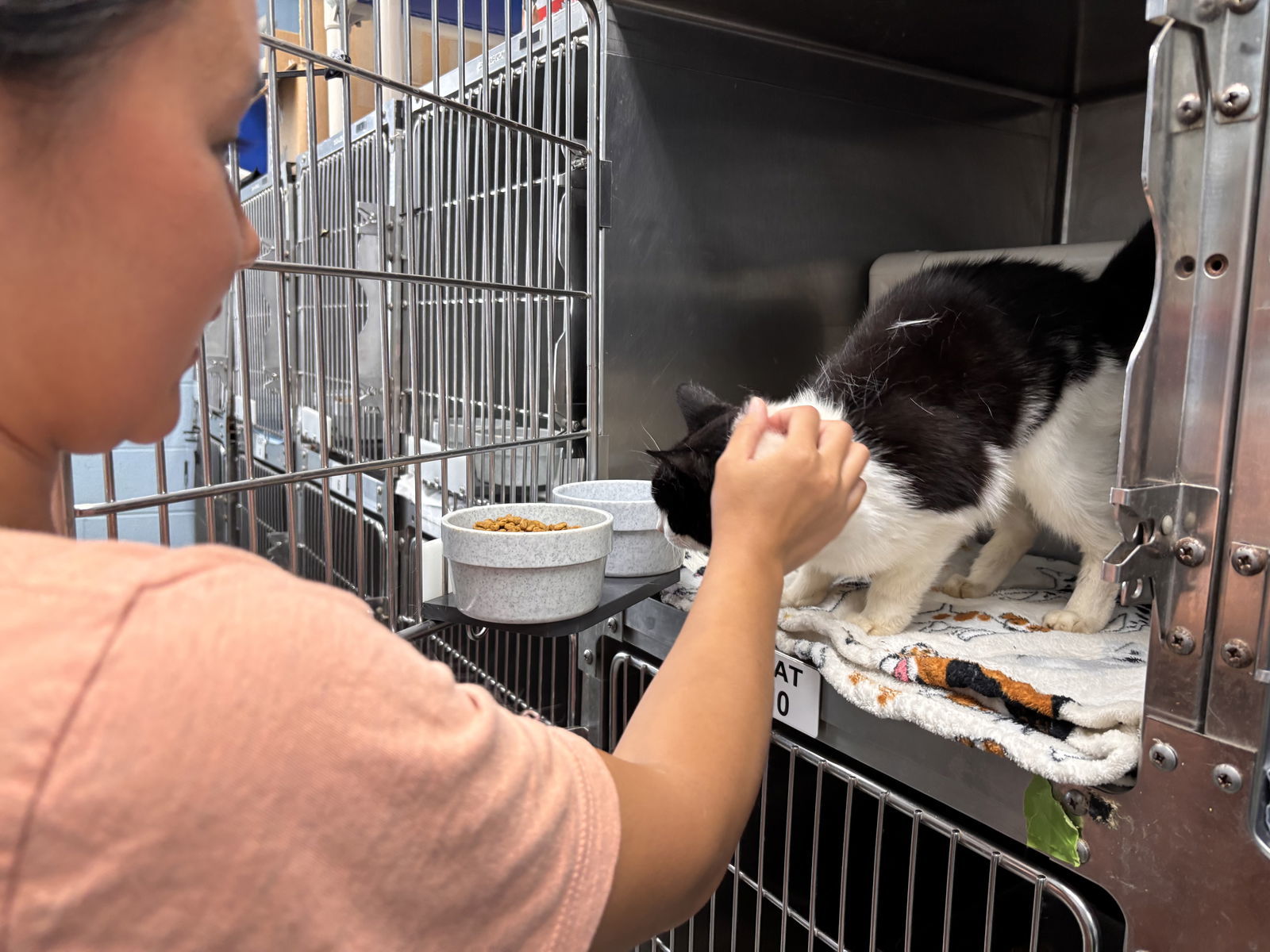 Mist: Visit At Petsmart Lynchburg