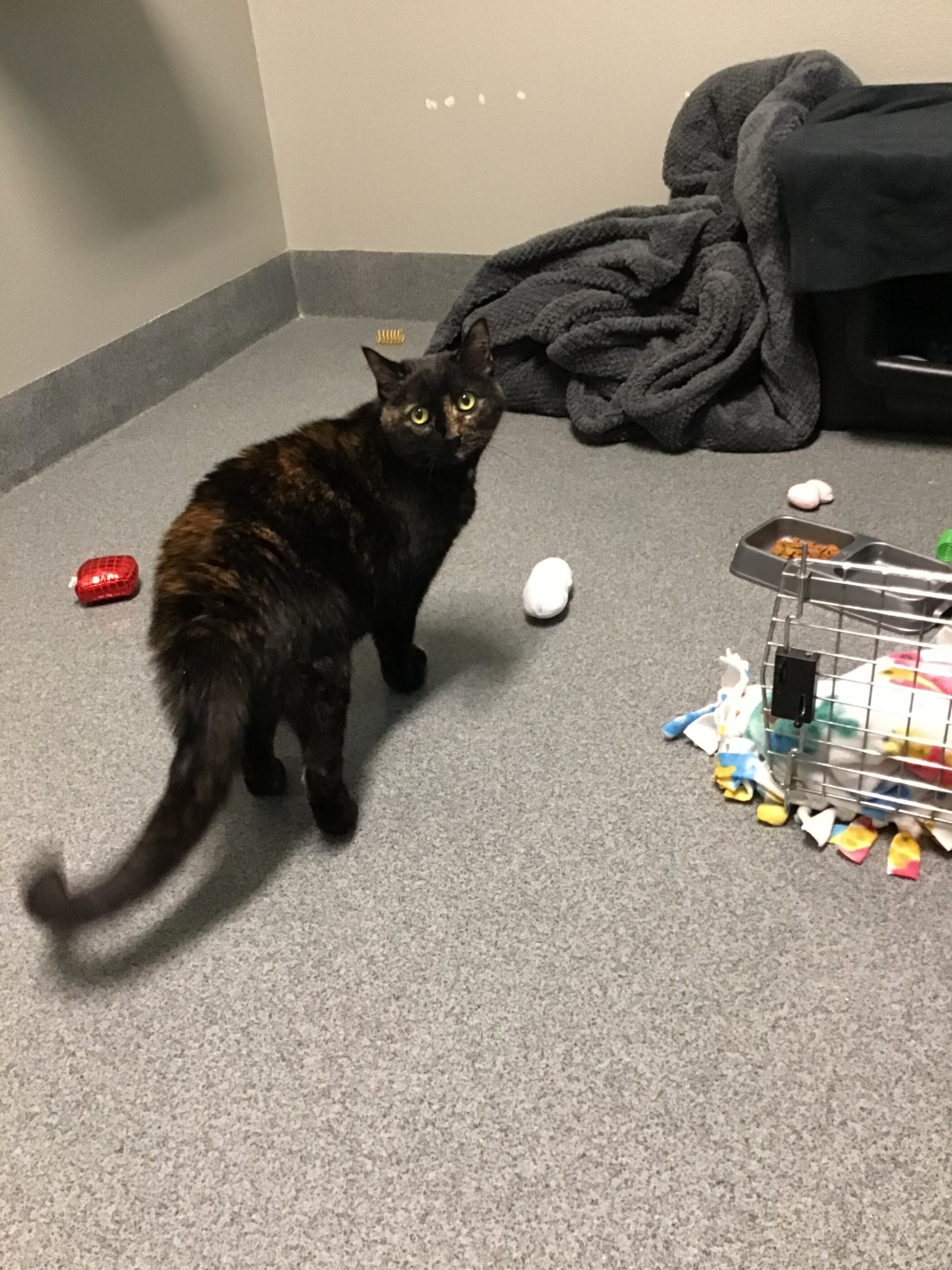 Ezmie