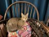 Purrrl photo 2