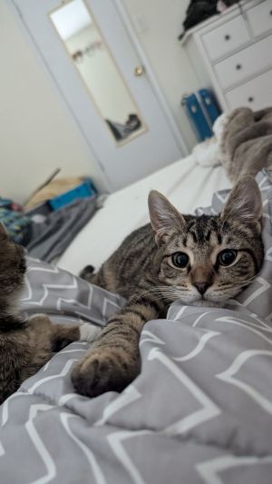 Lucy