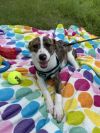 Jingles photo 2