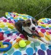 Jingles photo 3