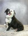 Jasper photo 3