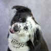 Jasper photo 4