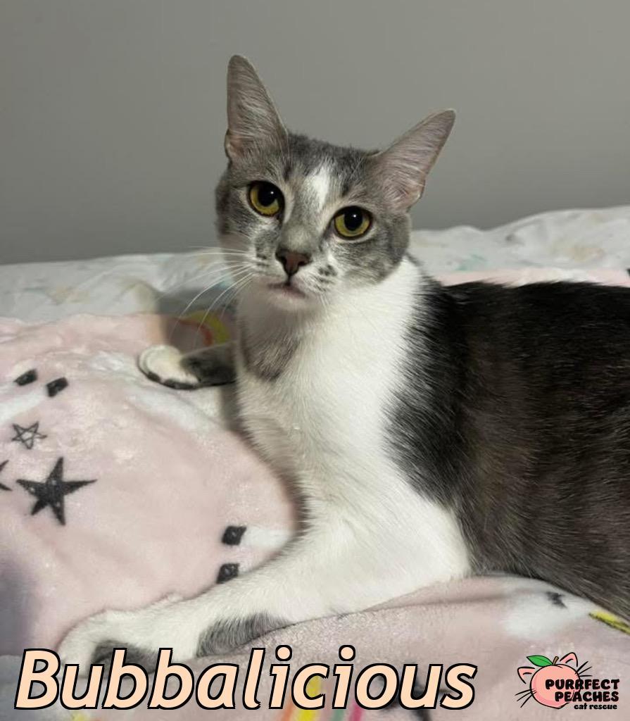 Bubbalicious