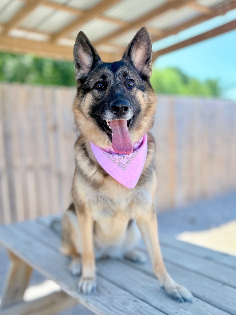 Zuri