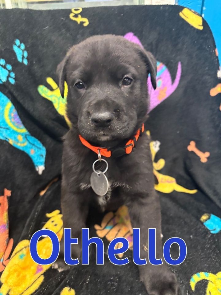 Othello 3