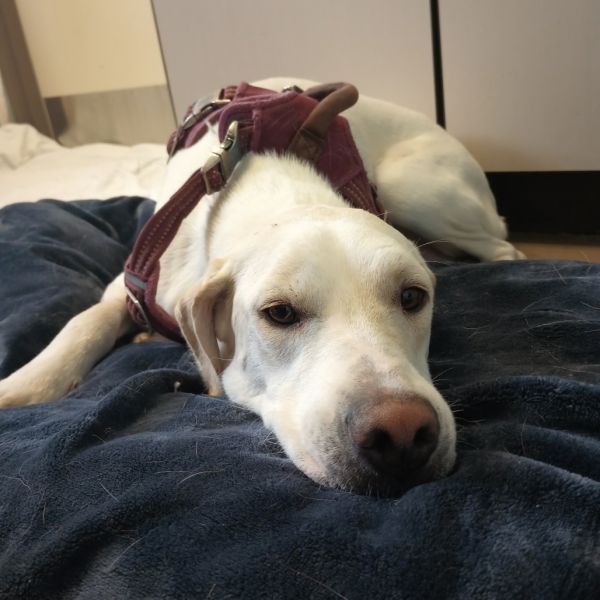 Alba - Sweet Girl!