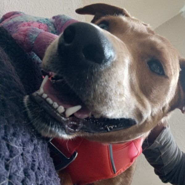 Nala - New Girl