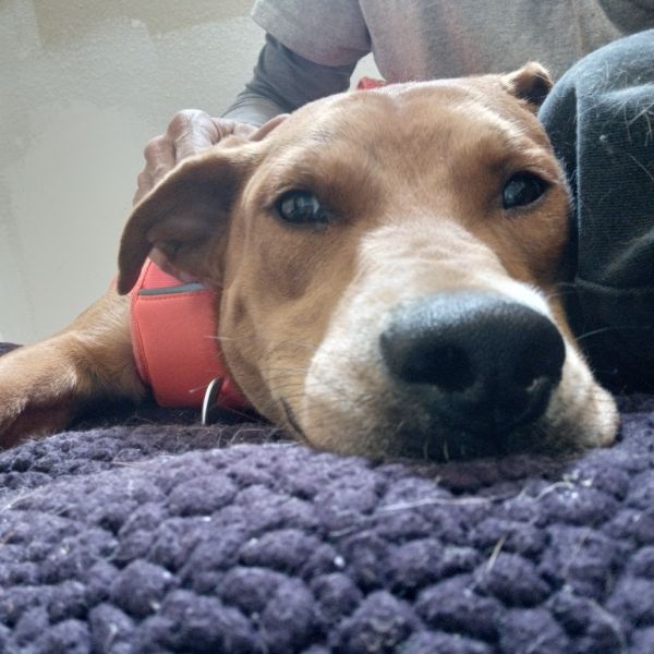 Nala - New Girl thumbnail 2