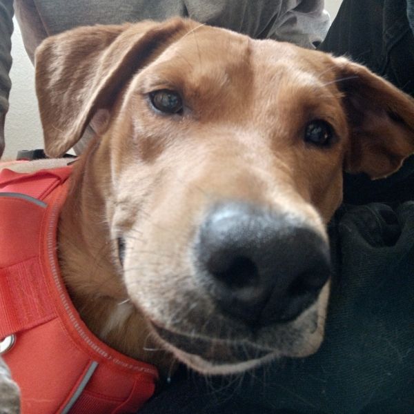 Nala - New Girl thumbnail 3