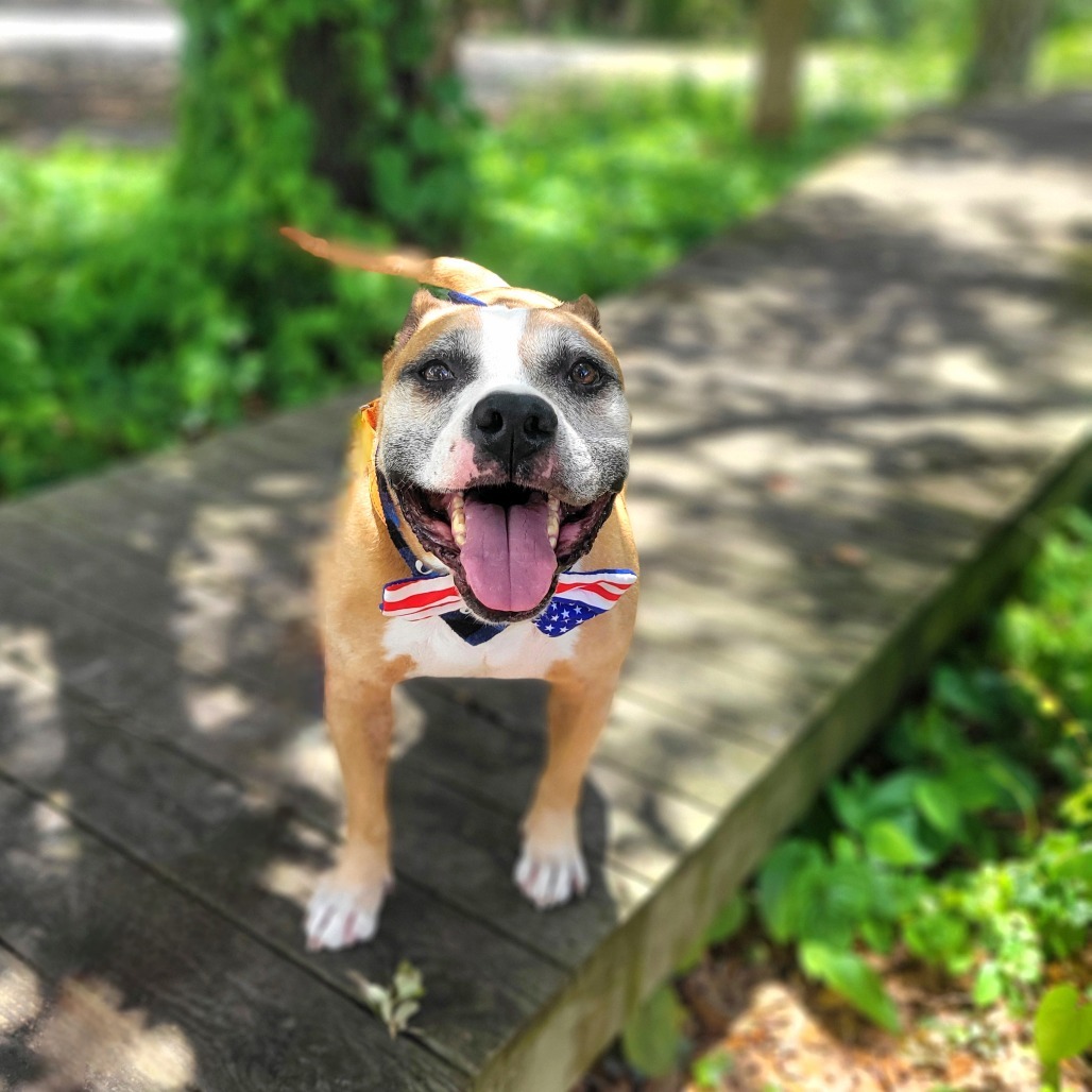 Finley