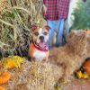 Finley photo 5