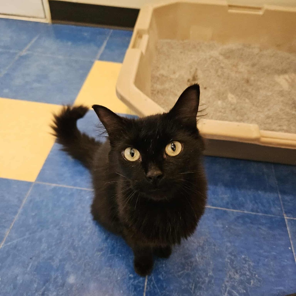 Luna