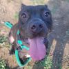Nyla photo 3