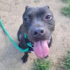Nyla photo 5