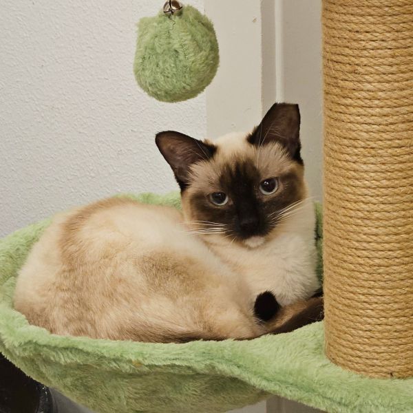 Stormie thumbnail 1