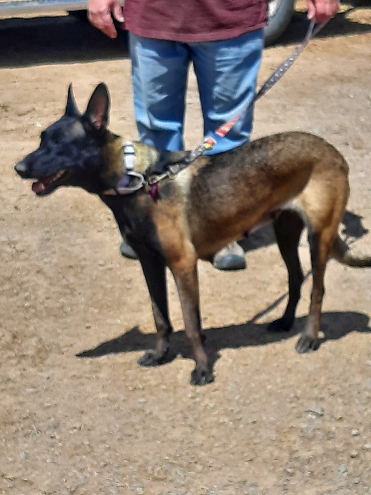 Bonnie Bell in New Mexico
