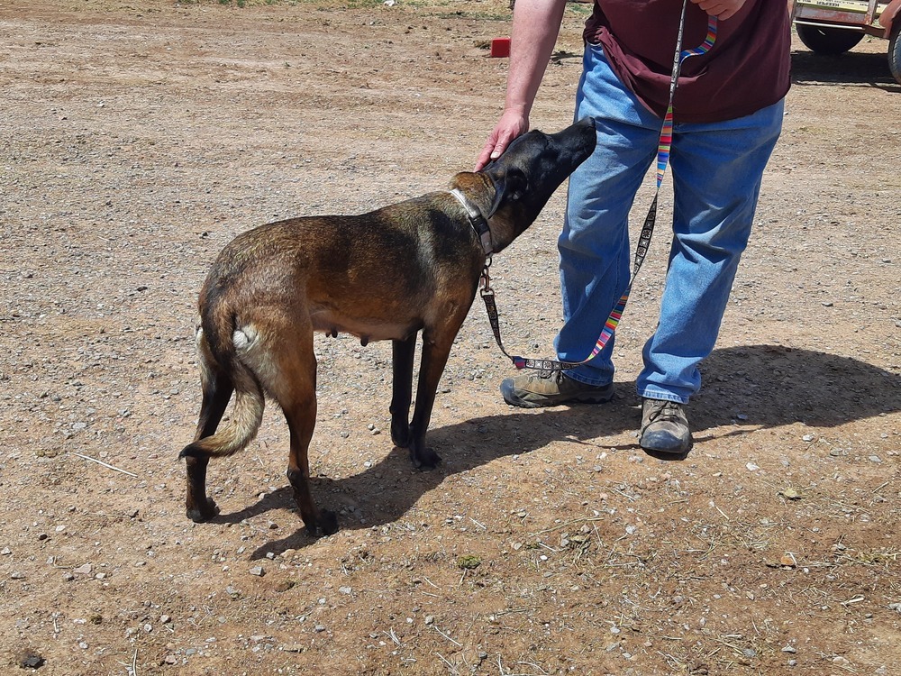 Bonnie Bell in New Mexico