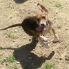 Jadzia photo 3
