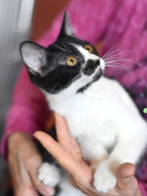 Minestrone, Young Female unknown