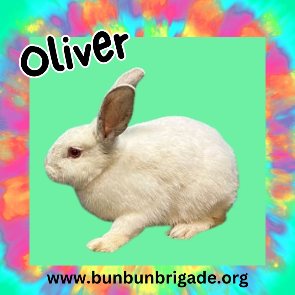 Oliver