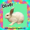 Oliver photo 1