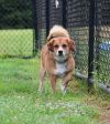 Bruno photo 2