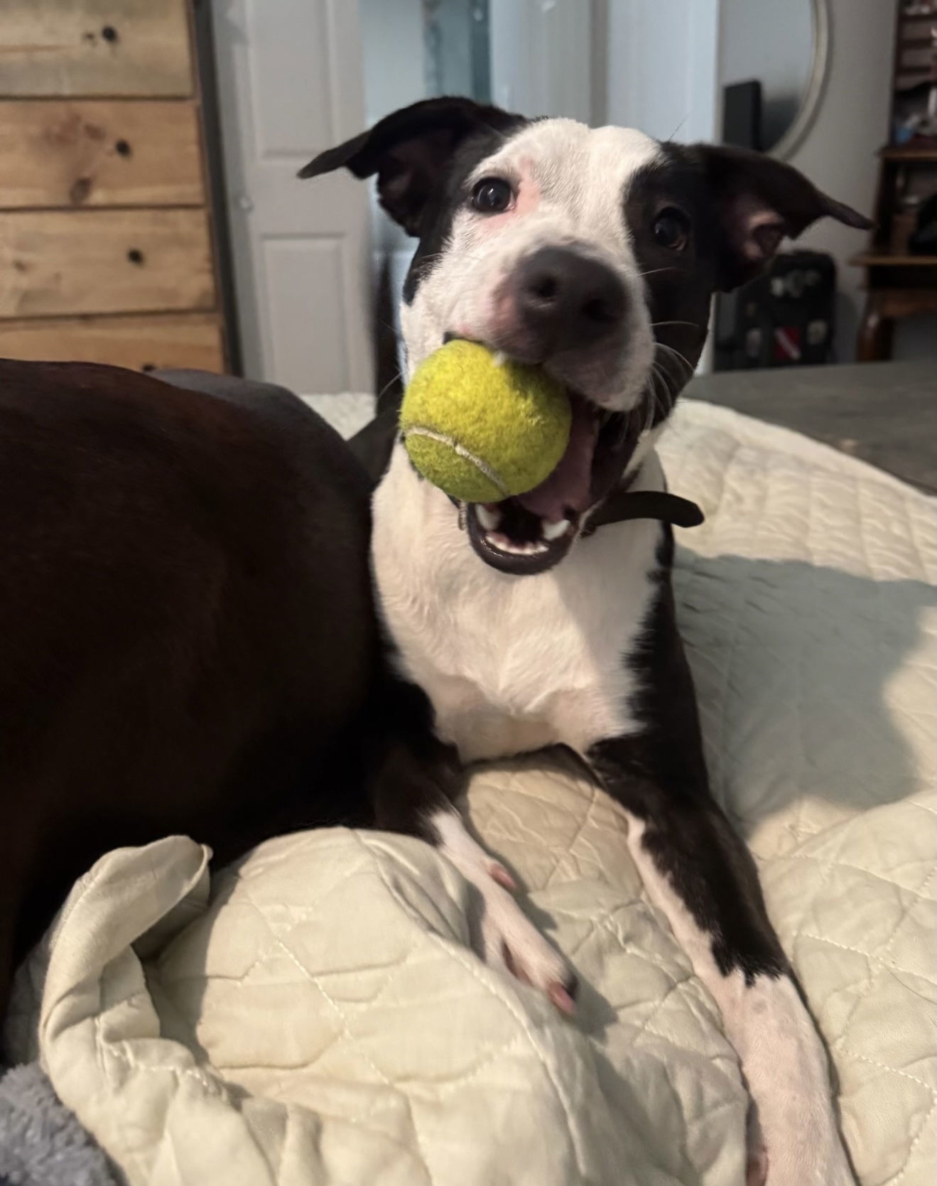 Chloe