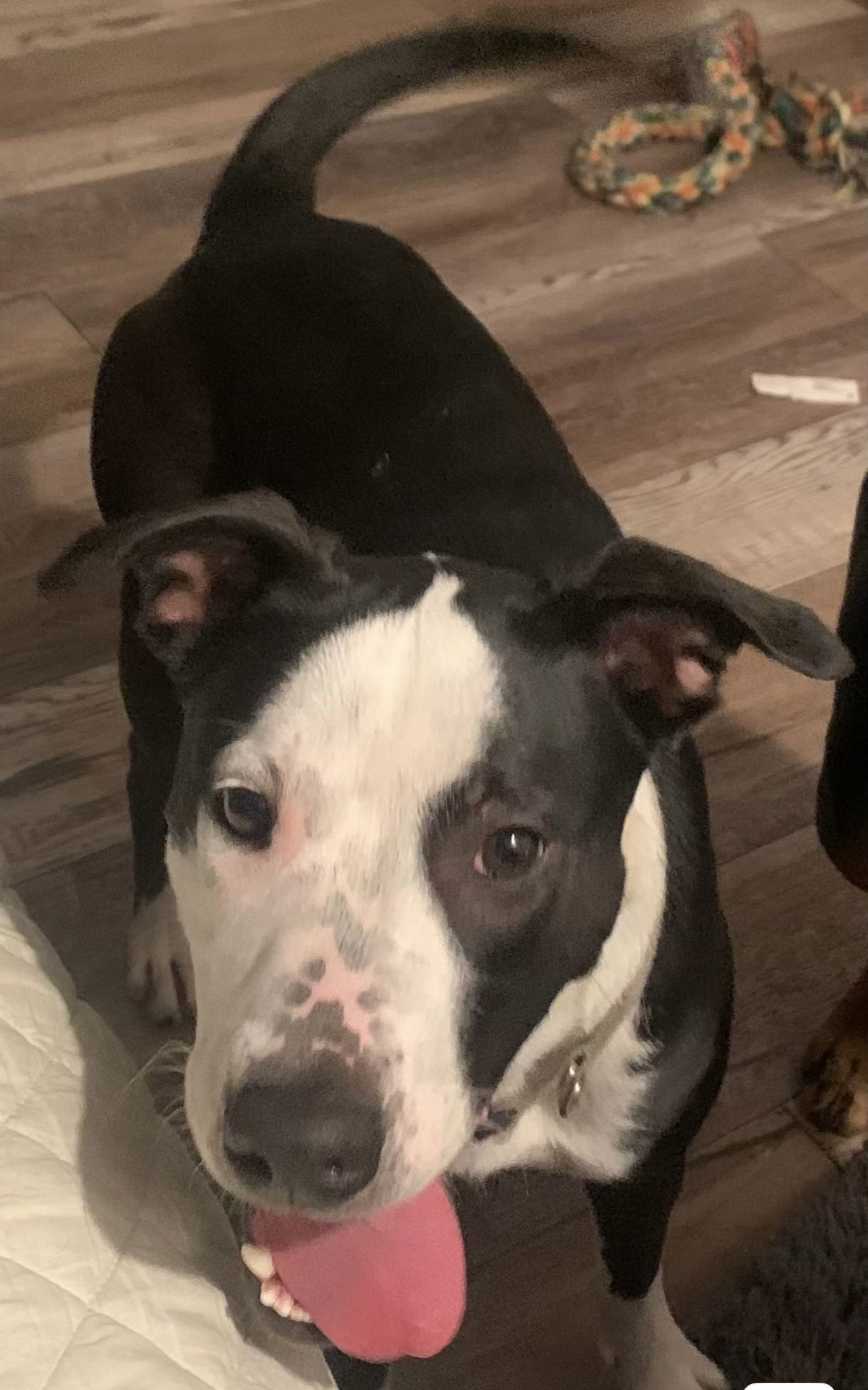 Chloe