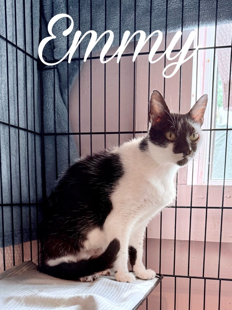 Emmeline