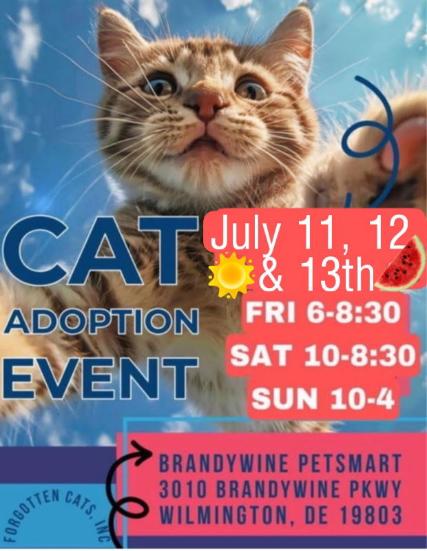 Brandywine PetSmart Adoption Event July 11-13