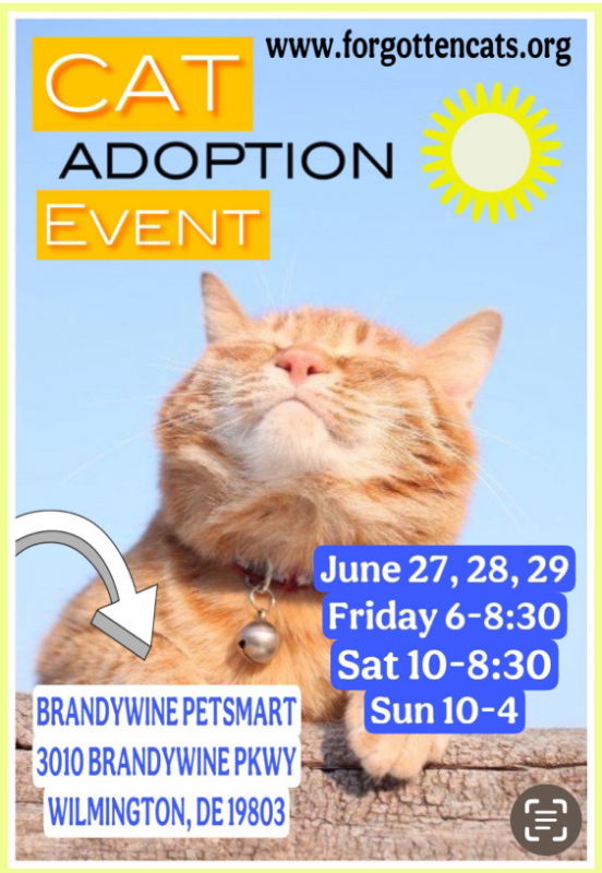 Brandywine PetSmart Adoption Event July 11-13