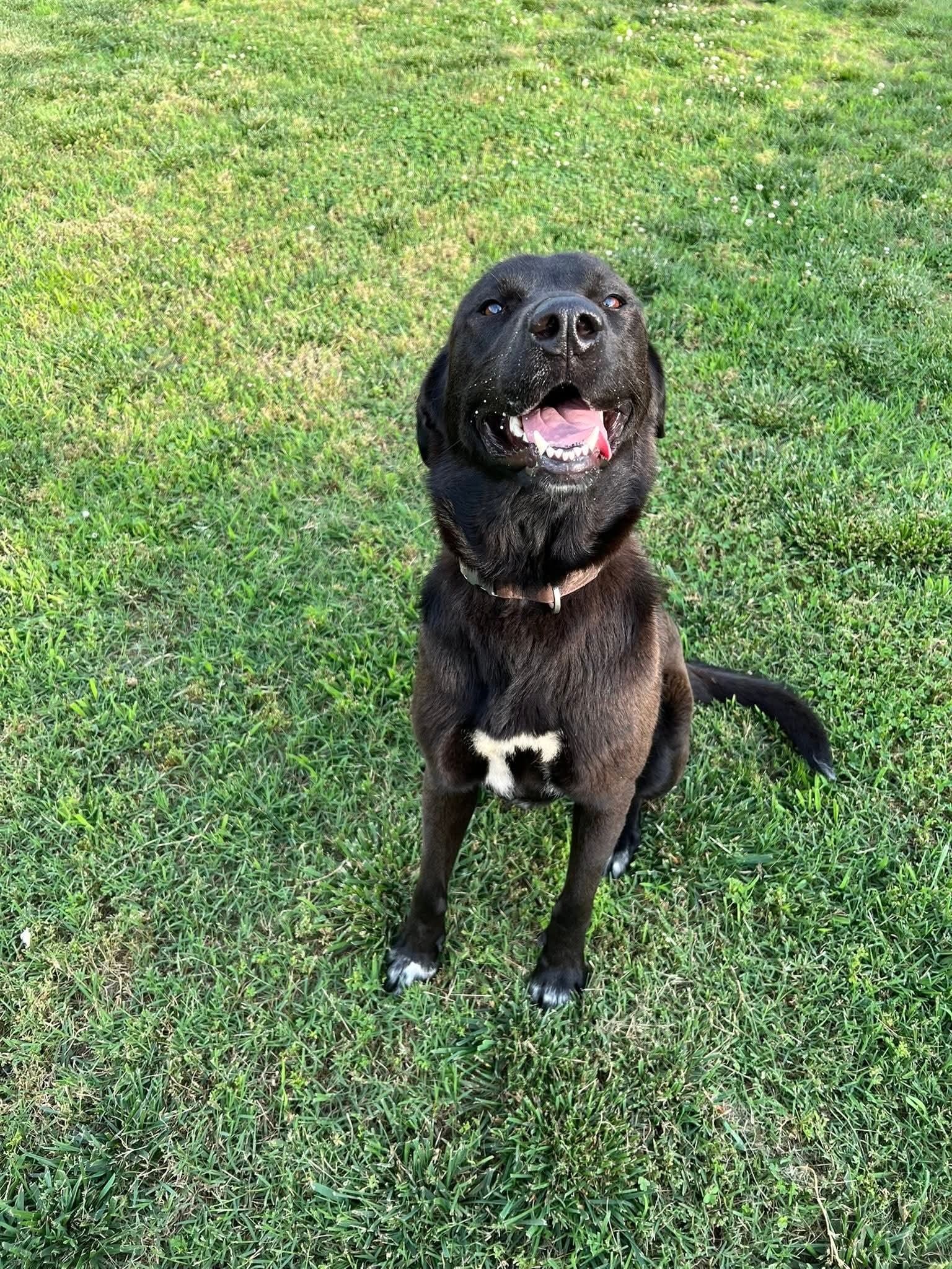 ROSIE