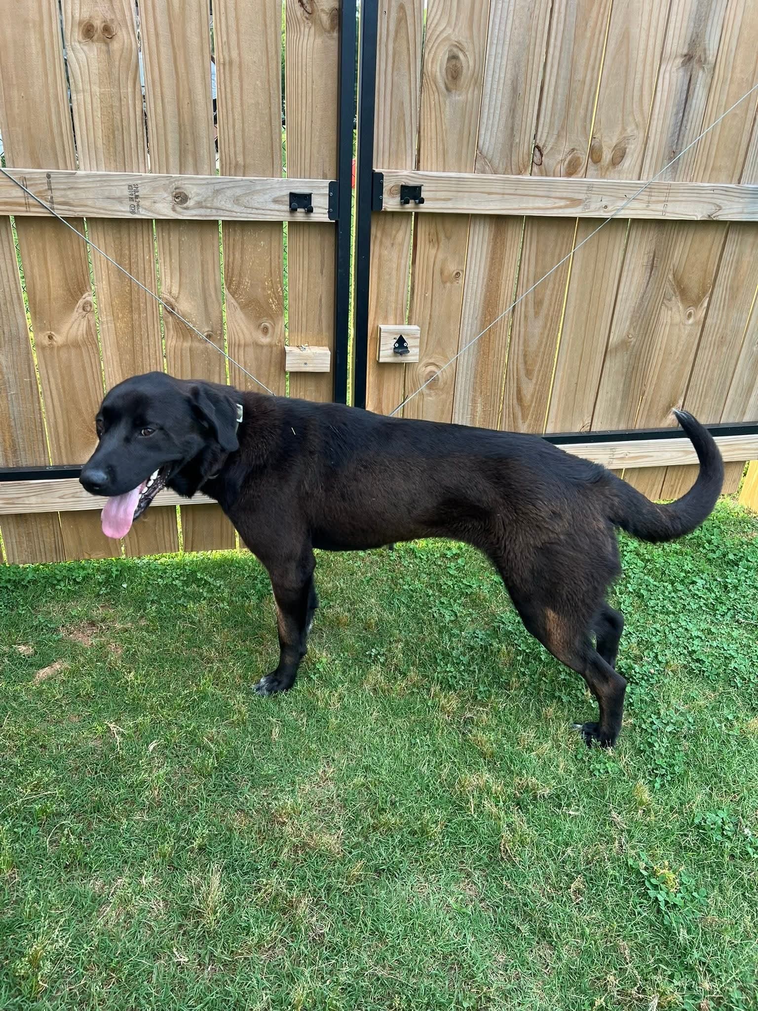 ROSIE