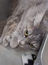 Freya photo 2