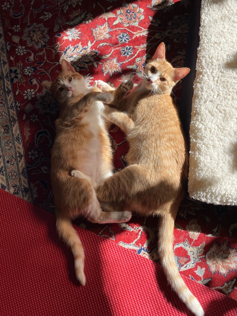 Peanut Butter / Scooter Magoo
