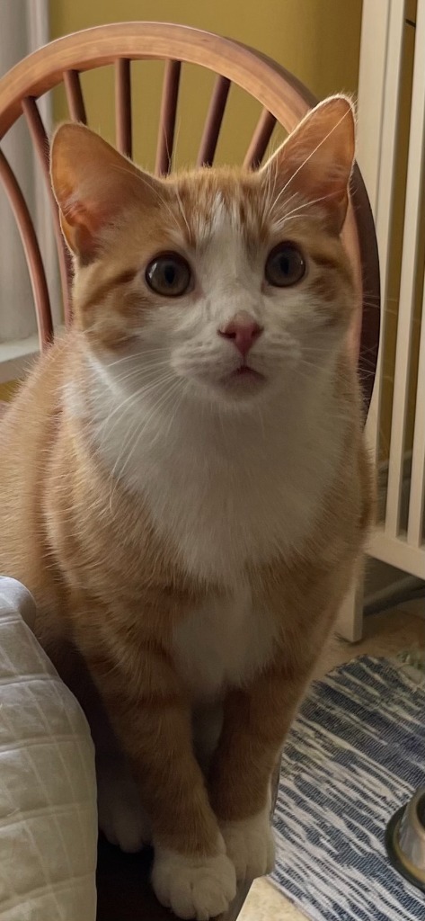 Peanut Butter / Scooter Magoo