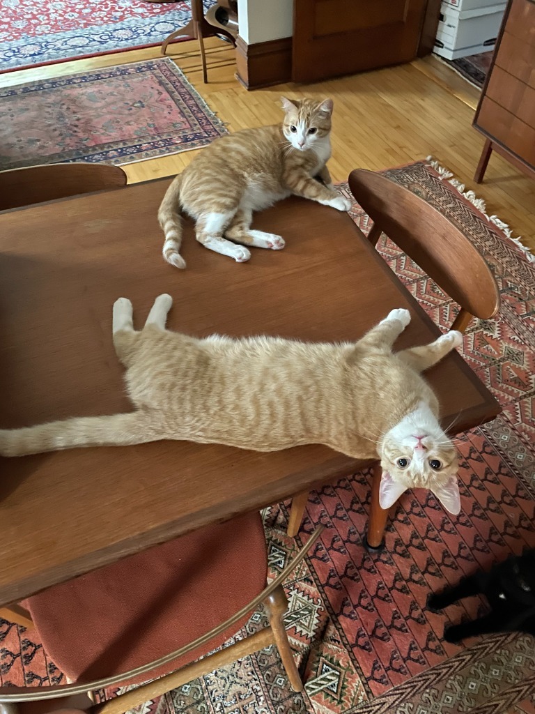 Peanut Butter / Scooter Magoo
