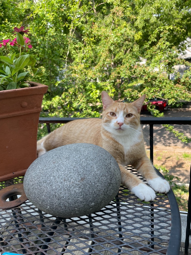 Peanut Butter / Scooter Magoo