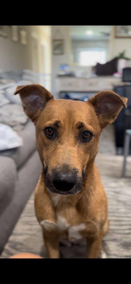 Greta